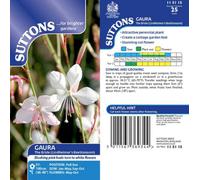Suttons Seeds Gaura The Bride 1 Seed Packet White Flowers