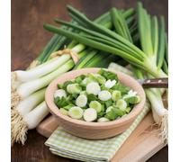 Suttons Seeds Onion White Lisbon Winter Hardy 1 Packet