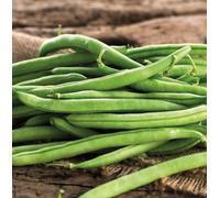 Suttons Seeds Organic Bean French Climbing Cobra 1 Packet