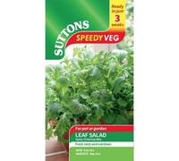 Suttons Seeds Speedy Veg Leaf Salad Spicy Oriental Mix 1 Packet
