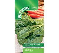 Suttons Seeds Spinach Perpetual Spinach 4 Packets