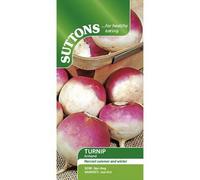 Suttons Seeds Turnip Armand 1 X Seed Packet