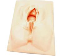 SuturePractice Model for Medical Students, Vulvar & Perineal SuturePractice Kit, Episiotomy Simulator for Nurses, Tear-Resistant Soft Material, Reusable Suturing Simulator - Ideal for Medical Training