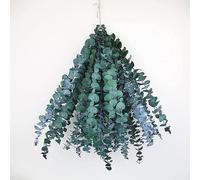 SUXUMHAO 10 Dry Eucalyptus Stems 16-24 inches Genuine Eucalyptus Shower Suspension 100% Made of Fresh Eucalyptus Leaves, Wedding, Home, Farmhouse Decoration DIY Spring Decoration, Blue