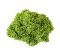 SUXUMHAO 100G Faux,Artificial Dark Green Plants Decorative Lichen Plants for Indoor Plants-Dark Green