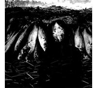 SUZIE STAPLETON - WE ARE THE PLAGUE VINYL LP NEW