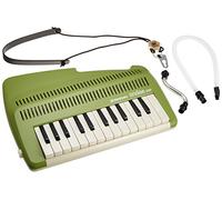 Suzuki 25keys Keyboard Recorder Andes 25F