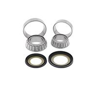 Suzuki GSF600 Bandit Steering Bearing Kit - All Balls Racing