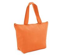 SV life Small Insulated Lunch Bag | Mini Foldable Cooler Bag with Zip and Handle | Keeps Drinks, Snacks and Lunch Cool or Warm | for School, Office, Beach, Picnic, Medicine and Cosmetics