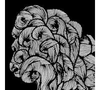 Svalbard - One Day All This Will End [VINYL]