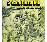 svanfridur - Whats Hidden There