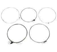 Svaram Svaraveena Strings Set