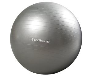 Sveltus Exercise Ball 65 cm grey
