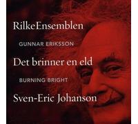 SVEN-ERIC JOHANSON: BURNING BRIGHT NEW CD