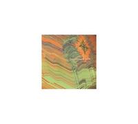 SVIN: INTRODUCING SVIN - CD SEALED