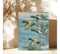 Svnolpliy Mallard Duck Paint by Numbers Kit for Adults, DIY Painting Decor, Canvas Wall Art by Numbers Kit, Acrylic Painting for Beginners Flying Duck 12x16in Framed