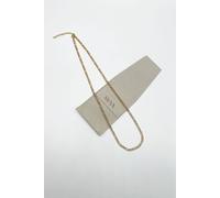 Svnx Figaro Chain Necklace In Gold Gold