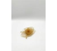 SVNX Rosette Fascinator & Brooch in Gold - Gold