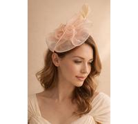 SVNX Women's Rose Bouquet with Big Bow & Feather Fascinator in Pink SVNX Pink One Size