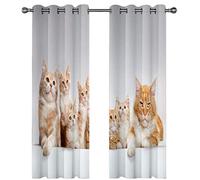 SVTUSR Blackout Curtains For Bedroom 140X160Cm 3D Orange And White Cute Cat Fun Movie Printing Pattern Super Soft Bedroom Eyelet Curtains Kids Nursery Home Decoration Noise Reduce Window 2 Panels