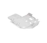 SW-Motech Engine guard - Silver BMW R 1300 GS / Adv, R 1300 R. / RT., silver