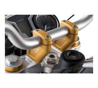 SW MOTECH Bar Back BMW R NINE T 14-20 LEH.07.512.10000/GD