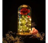 SW Preserved Rose Enchanted Rose Red Silk Rose in Glass Dome with LED Lights Pine Base, Romantic Home Decor Gifts for Mothers Day Wedding Anniversary Birthday Valentines Day