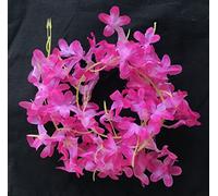 Swadeshi Desire Gajra Bun Artificial Rani Pink Orchid Flower Gajra Hair Accessories, Pack of 1