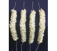 Swadeshi Desire Mogra Jasmine for Women| Artificial gajra for Hair bun Juda Pack of 4 pcs.White