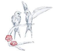 Swallows