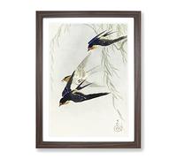Swallows In Flight By Ohara Koson Asian Japanese Framed Print | A2 Walnut Framed Wall Art | Ready to Hang | Asian Nature Picture | Living Room Bedroom Lounge Office