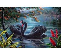 Swan Animals 70 Piece Jigsaw Puzzles for Adults Colourful Fun Challenging & Brainteasing Educational Learning Gift Present for Children Boys Girls 70 Piece Puzzle for Adults