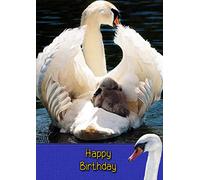 Swan Bird Birthday Card