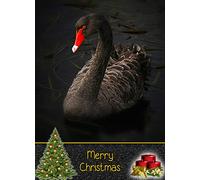 Swan Christmas Card 'Merry Christmas' - Special Xmas Card for Him Her Kids Male Female