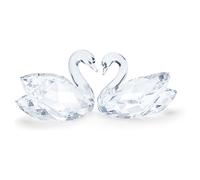 Swan Couple