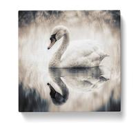 Swan Double Exposure No.1 Canvas Print | Gallery Wrapped 30mm Frame Wall Art | 20x20 inches | Ready to Hang | Modern Bird Picture | Living Room Bedroom Lounge Office