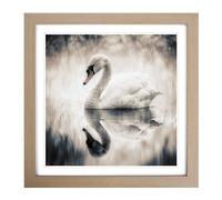 Swan Double Exposure No.1 Framed Print | 18x18 Inch Oak Framed Wall Art | Ready to Hang | Modern Animal Picture | Living Room Bedroom Lounge Office