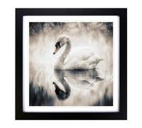 Swan Double Exposure No.1 Framed Wall Art Print, Ready to Hang Picture for Living Room Bedroom Home Office, Black 18 x 18 Inch (45 x 45 cm)