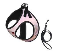 swan heart print Dog Harness and Leash Set, Reflective Adjustable Puppy Vest for Small Medium Large Dogs, Cats
