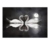 Swan Heart Swans Love on Animal Canvas Posters Prints Wall Pictures Modern Art Bedroom Living Room Decor 70x100cm Frameless