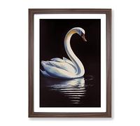 Swan In A Pond No.2 Framed Print | A4 Walnut Framed Wall Art | Ready to Hang | Modern Animal Picture | Living Room Bedroom Lounge Office