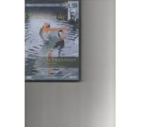 Swan Lake [DVD] [Region 1] [US Import] [NTSC]