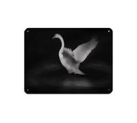 Swan Print, Dark Academia Retro Poster Metal Tin Sign Chic Art Retro Iron Painting Bar People Cave Cafe Family Garage Poster Wall Decoration 12x16inch(30x40cm)