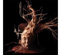 Swan Valley Heights - Terminal Forest [VINYL]