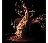 Swan Valley Heights - Terminal Forest [VINYL]