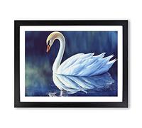 Swan Watercolour Framed Wall Art Print A2 Black