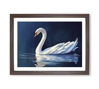 Swan Watercolour Vol.1 Framed Print | A4 Walnut Framed Wall Art | Ready to Hang | Modern Animal Picture | Living Room Bedroom Lounge Office