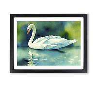 Swan Watercolour Vol.5 Framed Print | A2 Black Framed Wall Art | Ready to Hang | Modern Animal Picture | Living Room Bedroom Lounge Office