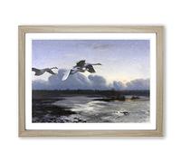 Swans In Flight Vol.1 By Bruno Liljefors Classic Painting Framed Print | A4 Oak Framed Wall Art | Ready to Hang | Classic Animal Picture | Living Room Bedroom Lounge Office
