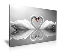Swans Love Heart Stretched Canvas Print Wall Art - For Modern Family Home Office Garden Room Hotel Decoration (M: 61cm X 41cm)